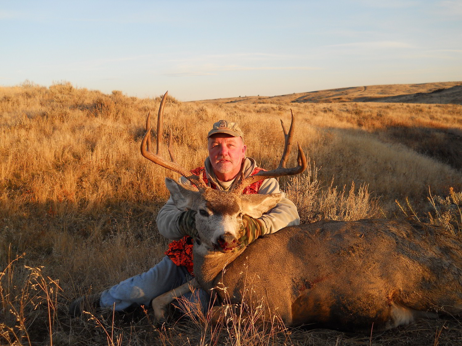 Trophy Hunting Guide in Montana Elk Hunting Outfitters Armells