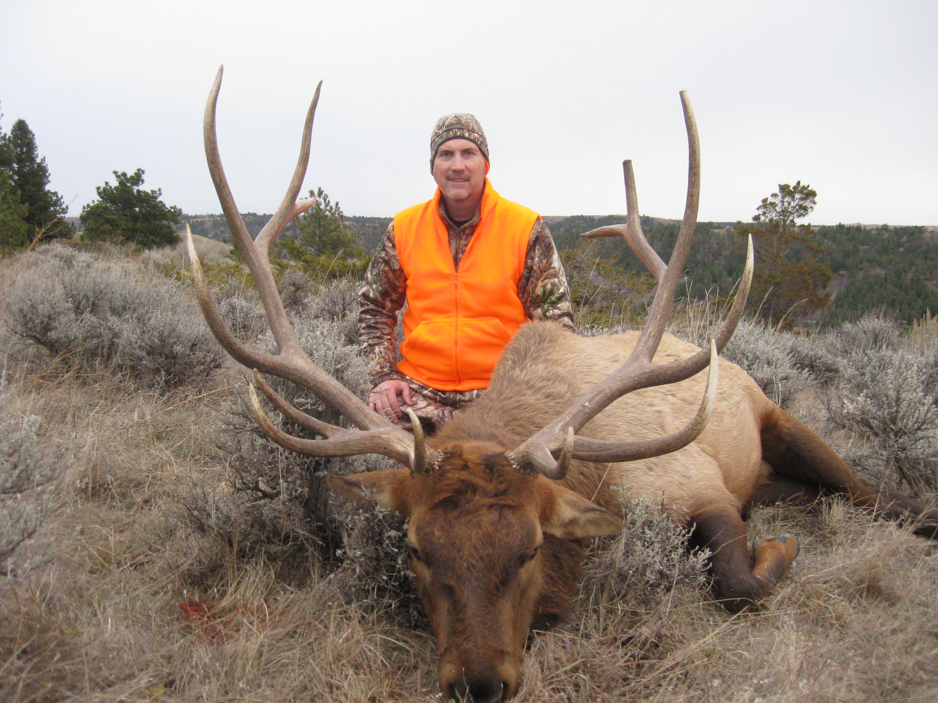 Trophy Deer & Elk Hunting in Montana Armells Creek Outfitters
