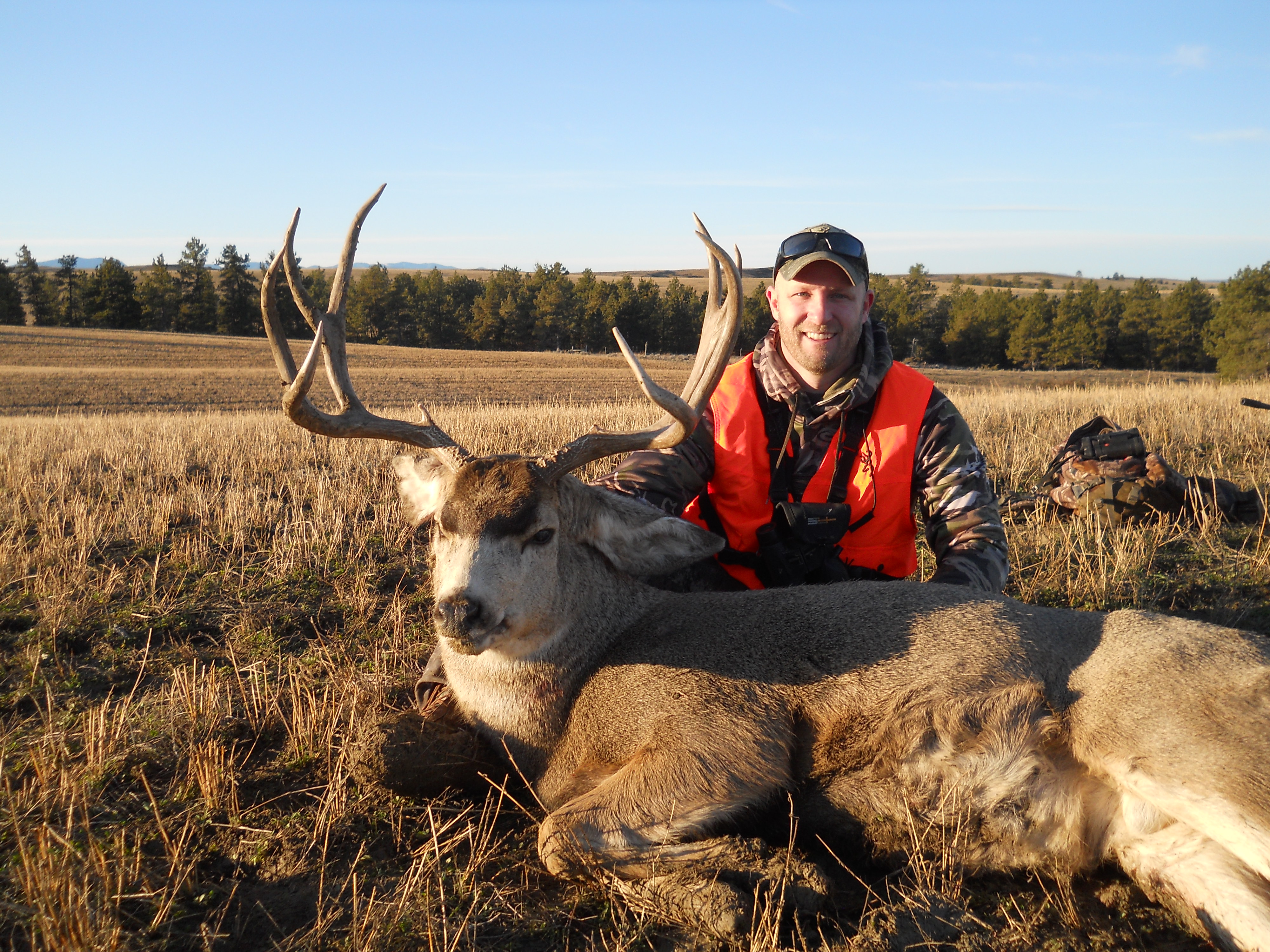 Trophy Deer & Elk Hunting in Montana Armells Creek Outfitters