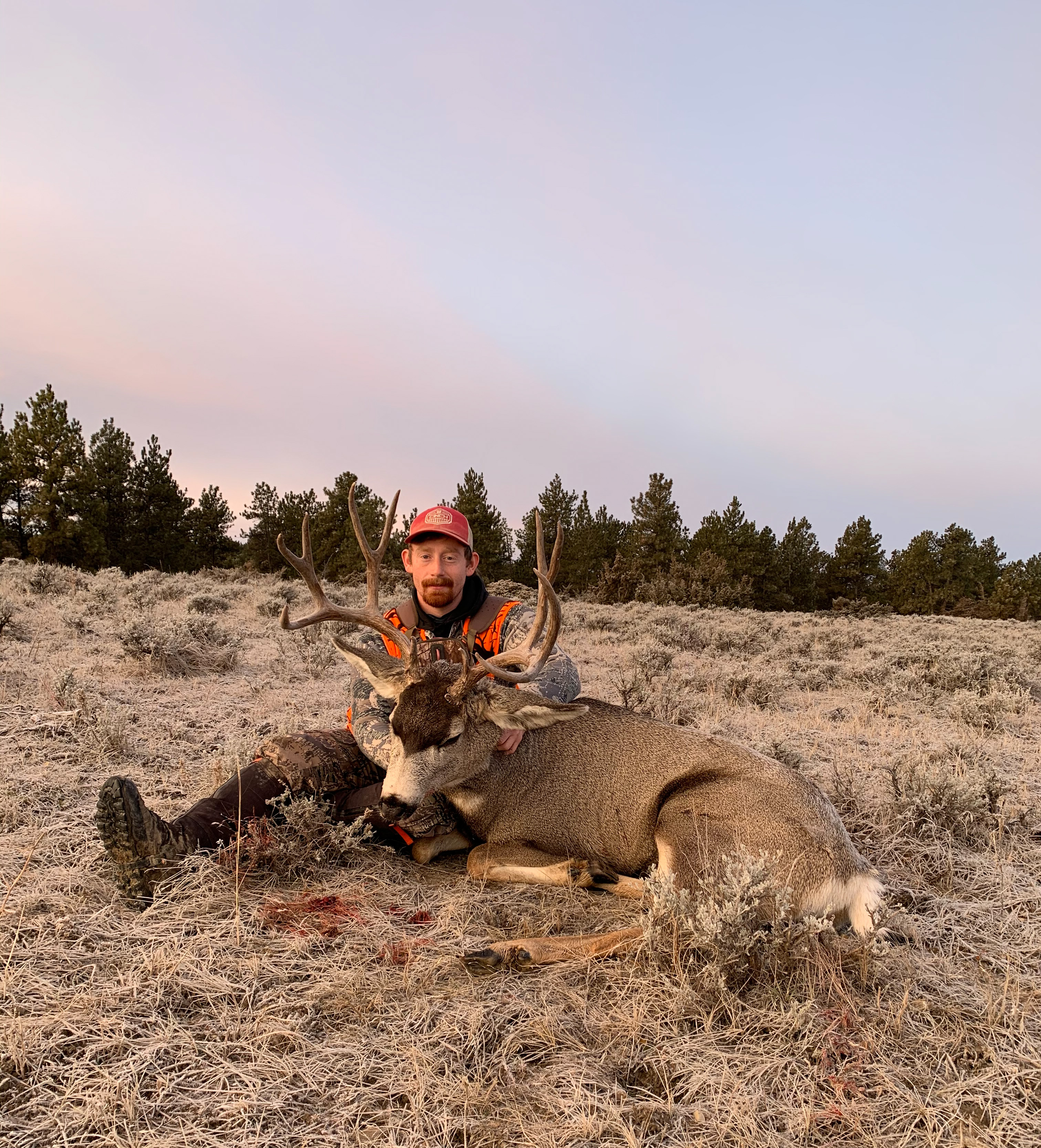 Trophy Deer & Elk Hunting in Montana Armells Creek Outfitters