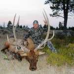 Elk Guided Hunting Trips in Montana