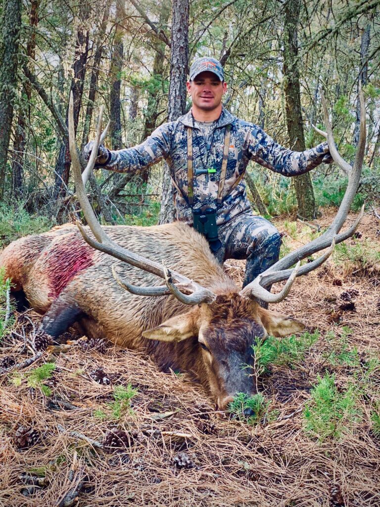 Man in the woods knelling next to a large antelope